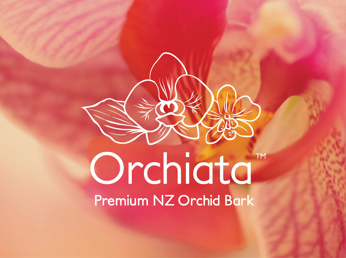 orchiata