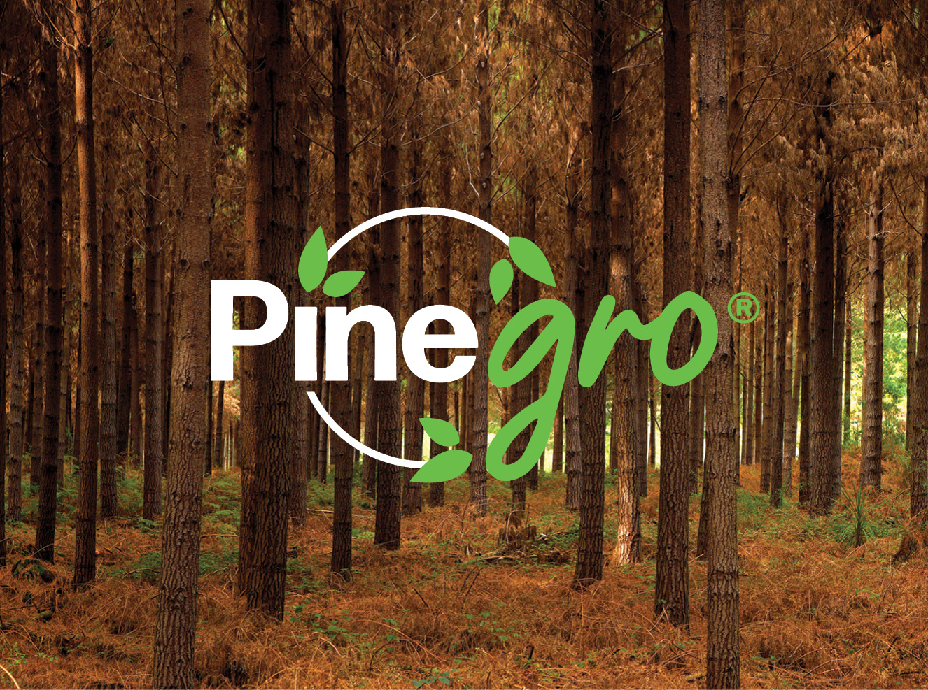 Pinegro Engineered Wood Fibre