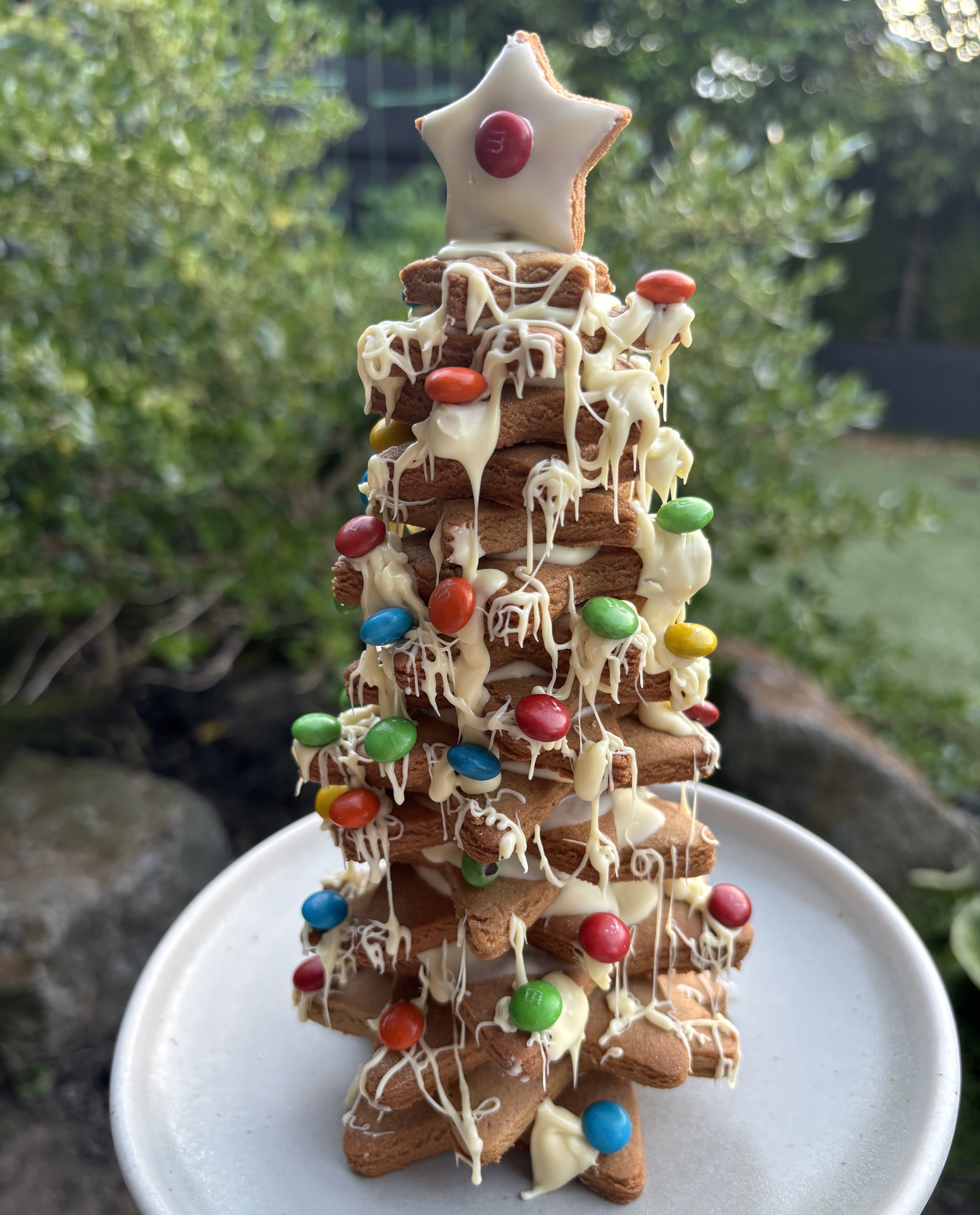 Gingerbread Star Tree | Daltons