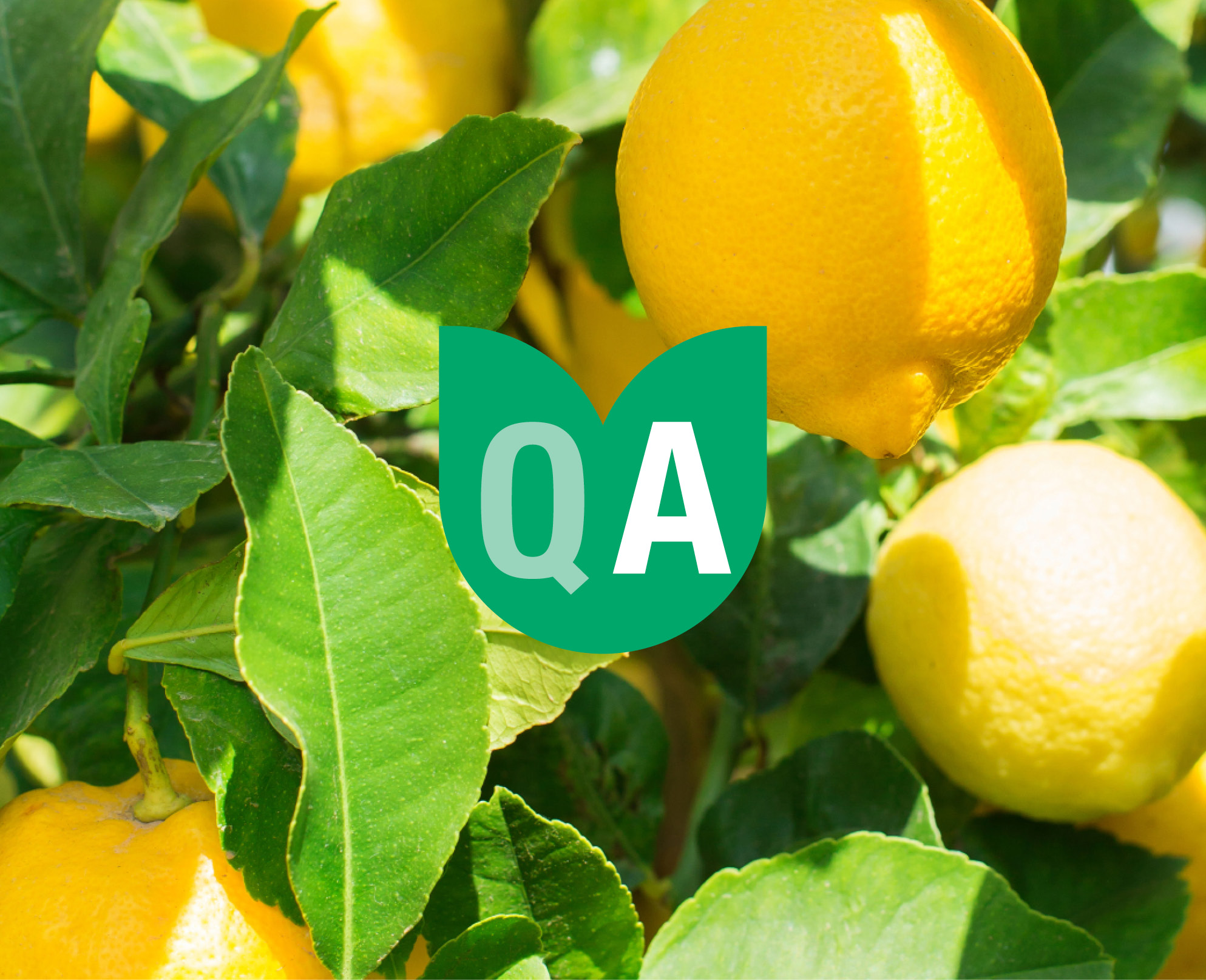 citrus help