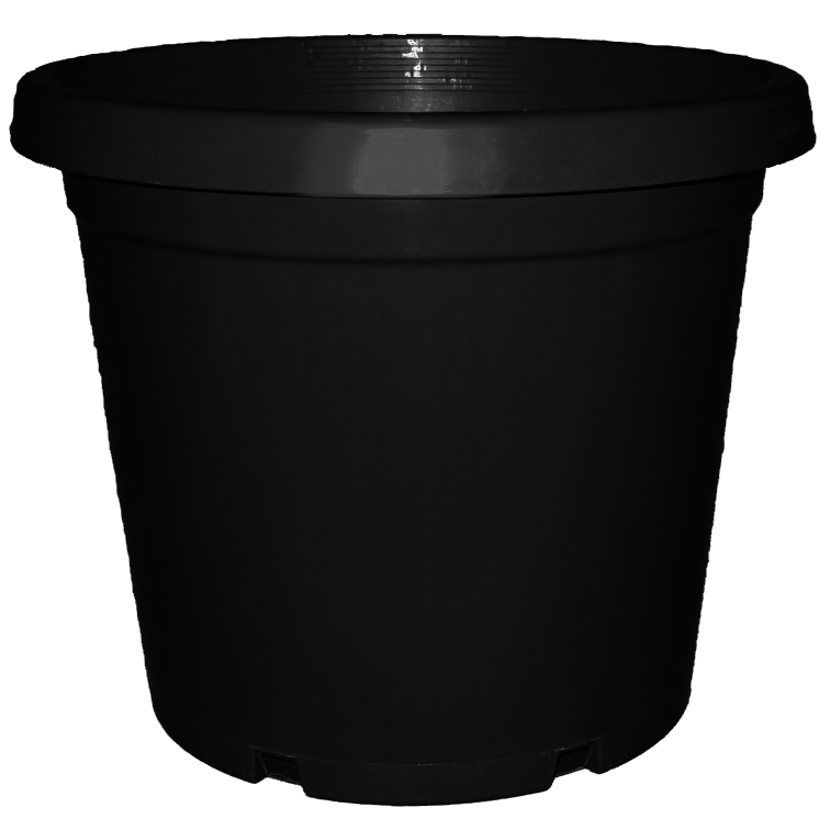 Pot 14.0L (30cm) Std Blk [20]