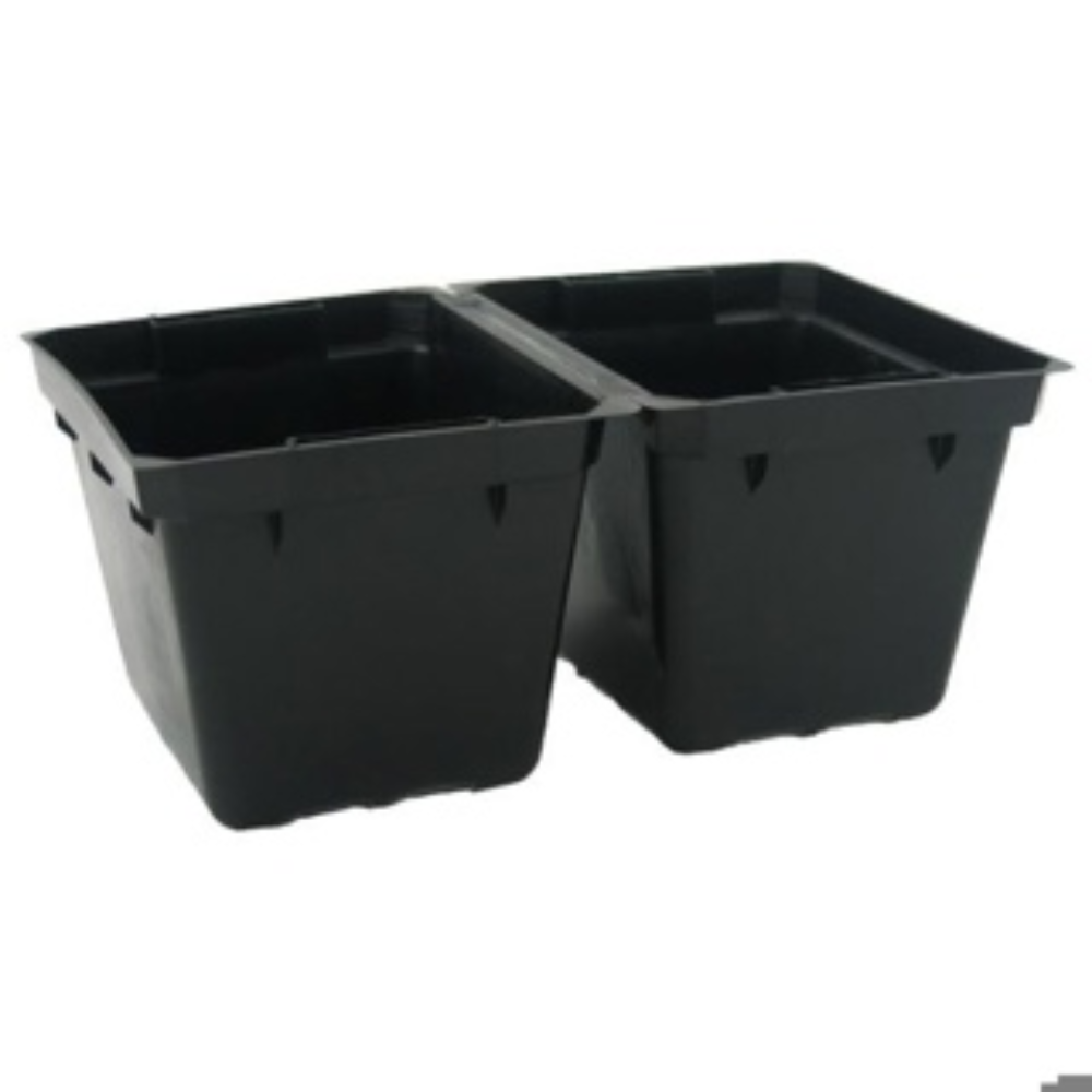 Twin Punnet Black [444]