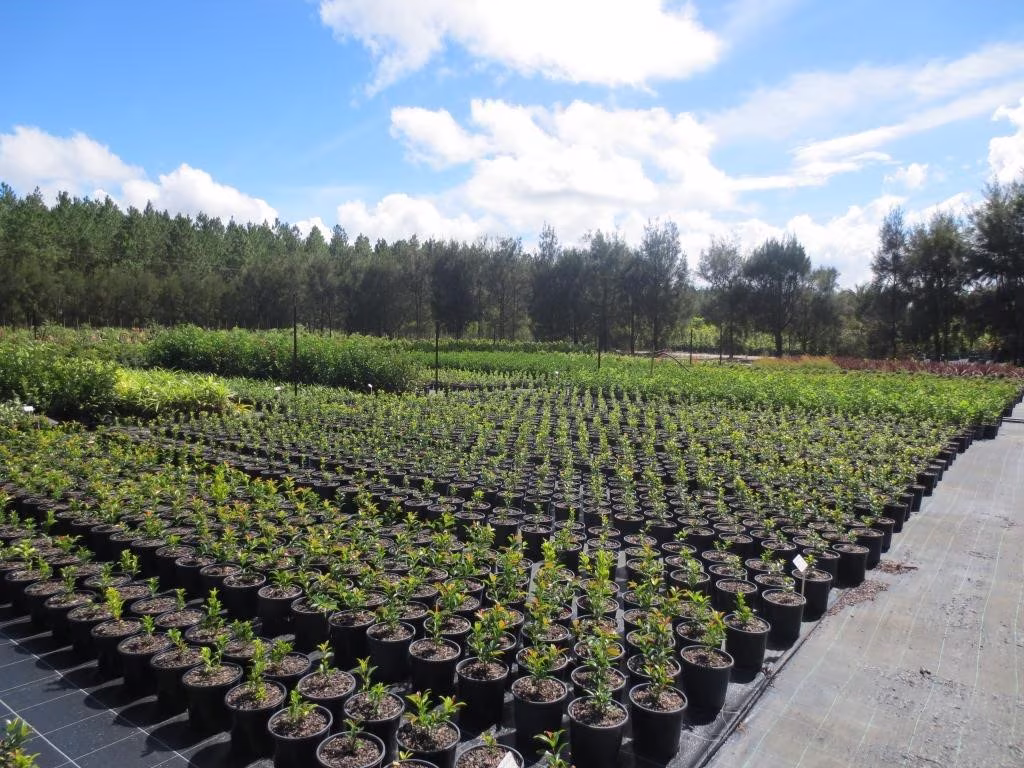 nursery