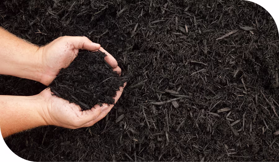 mulch