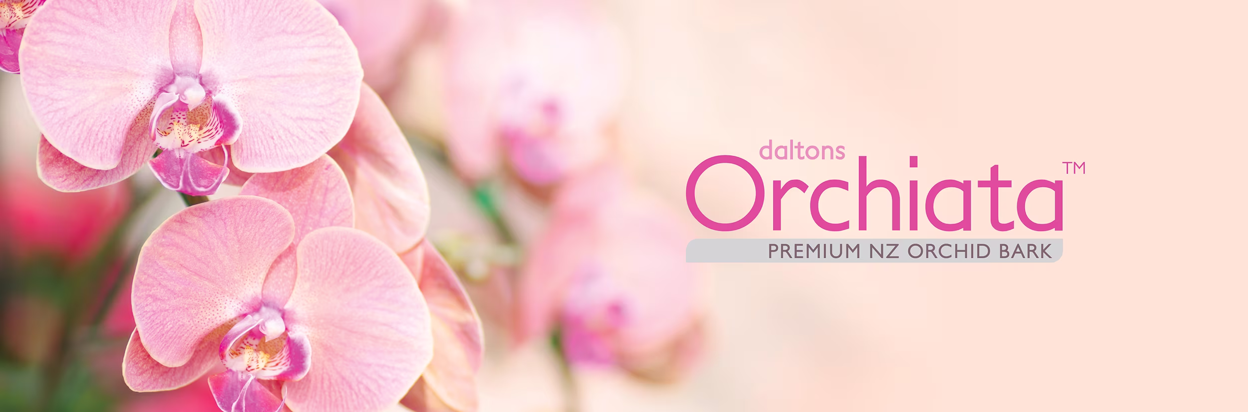Orchiata Header Banner