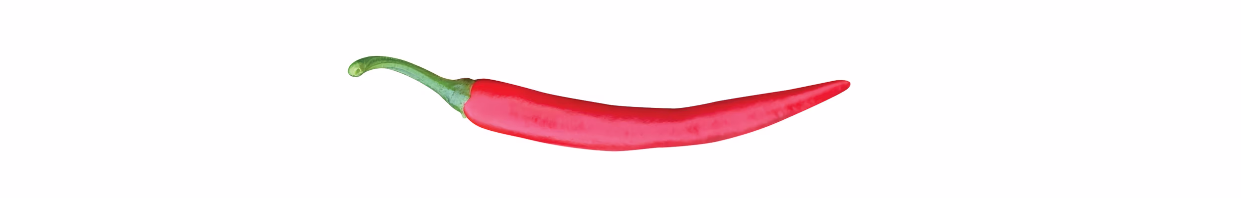 chilli