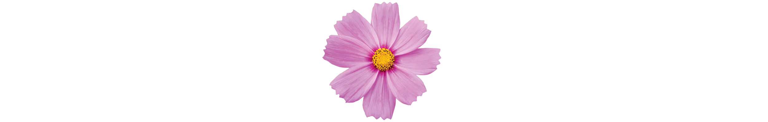cosmo