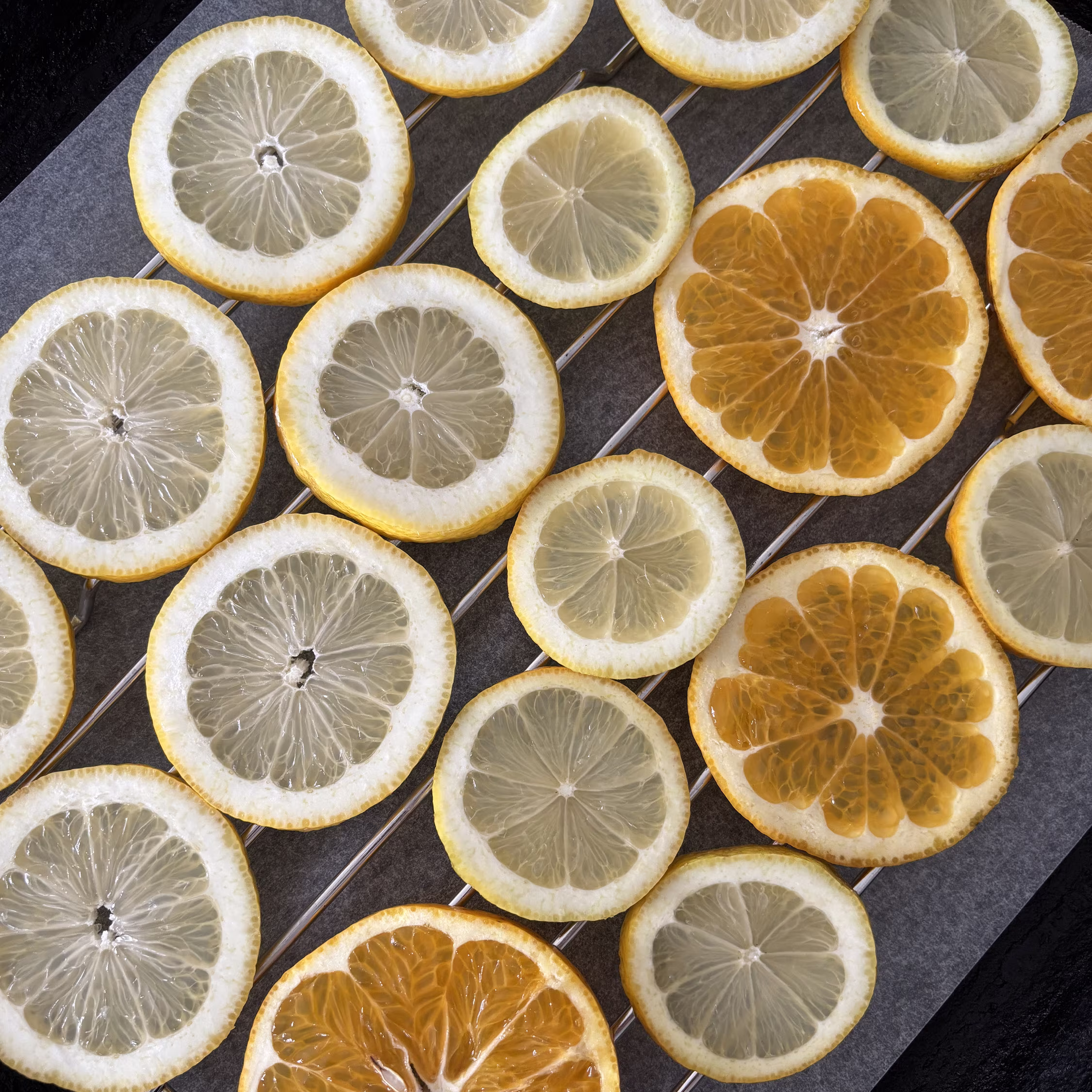 Dried Citrus Slices