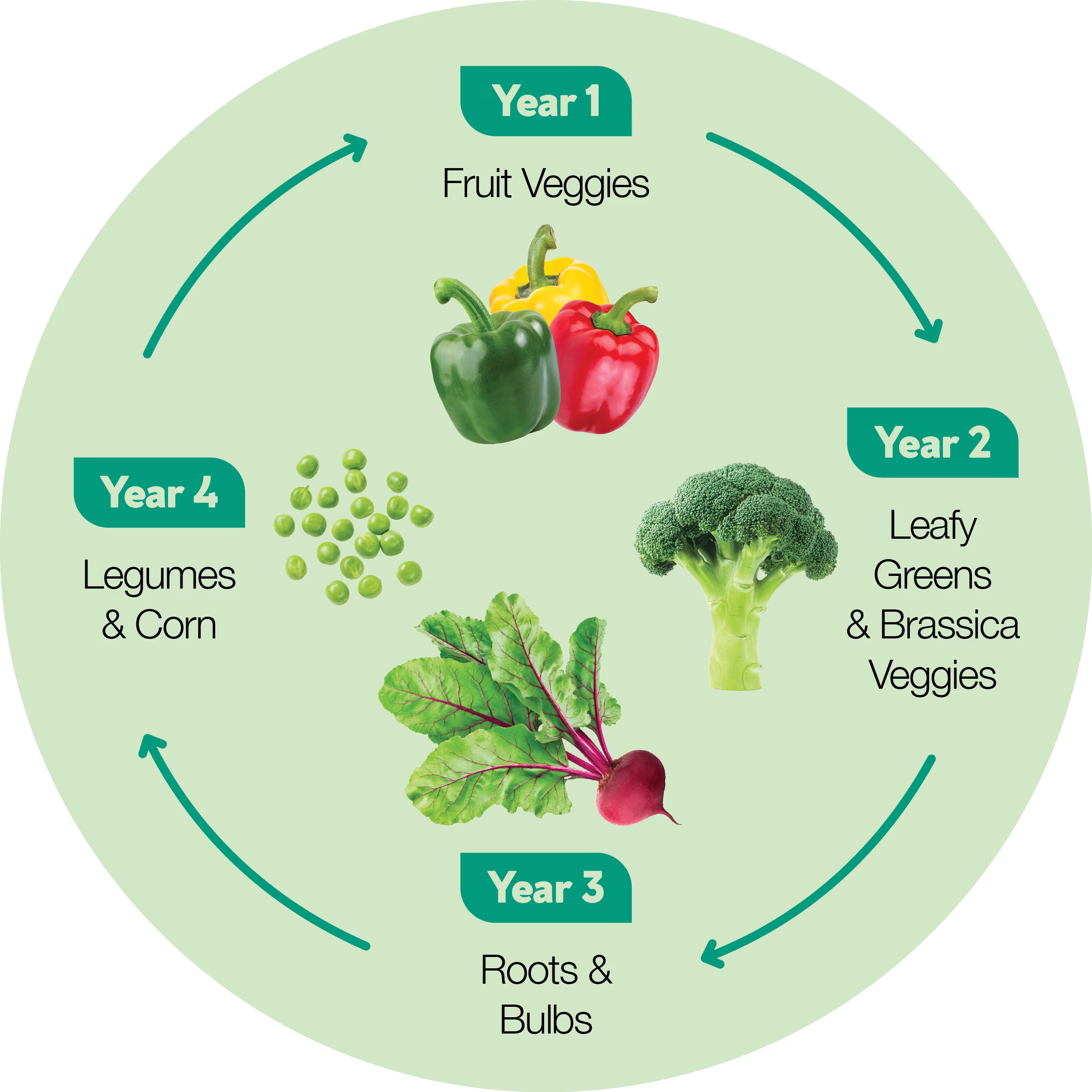 crop rotation