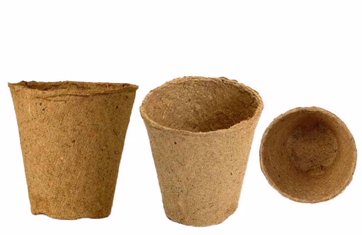 Fertilpot 6 x 6cm