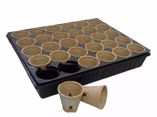 Tray Fertil 166.18 - 32 Cell Fertil Tray 1401