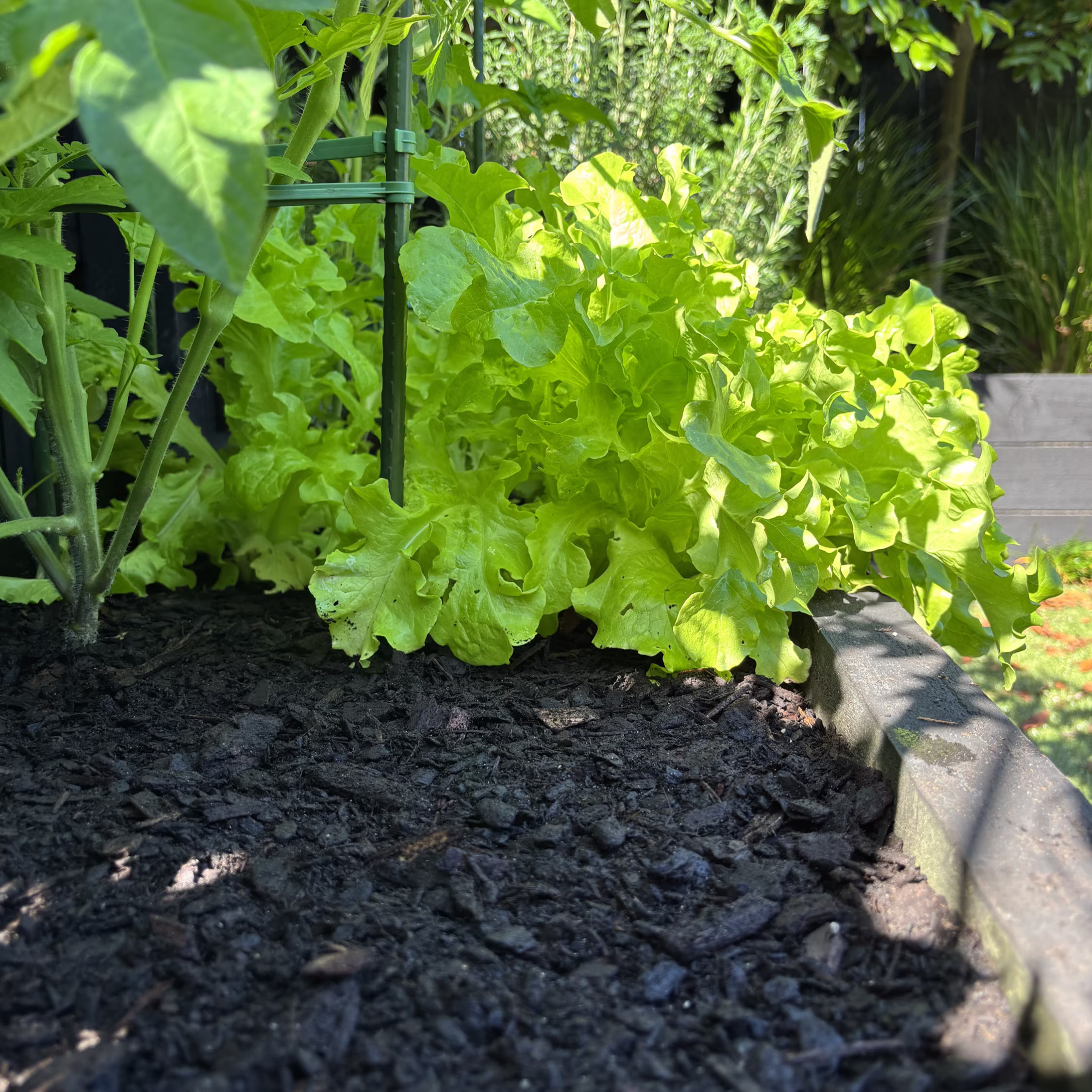 Mulch and grow