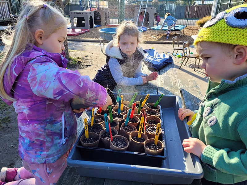 Tamariki have been carefully watering the pots