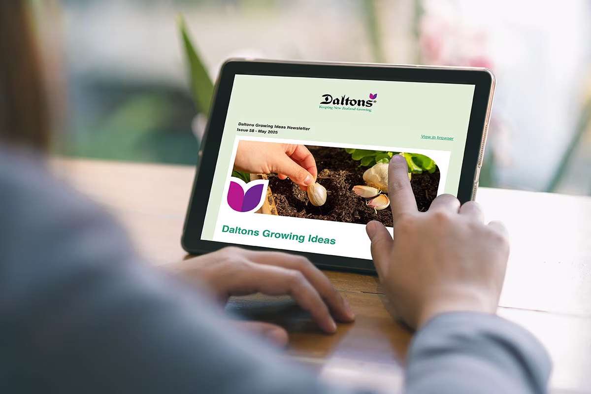 growing ideas newsletter