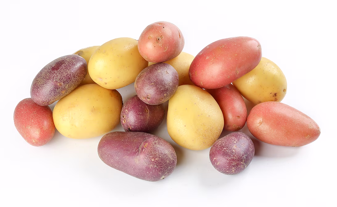 Potato varieties