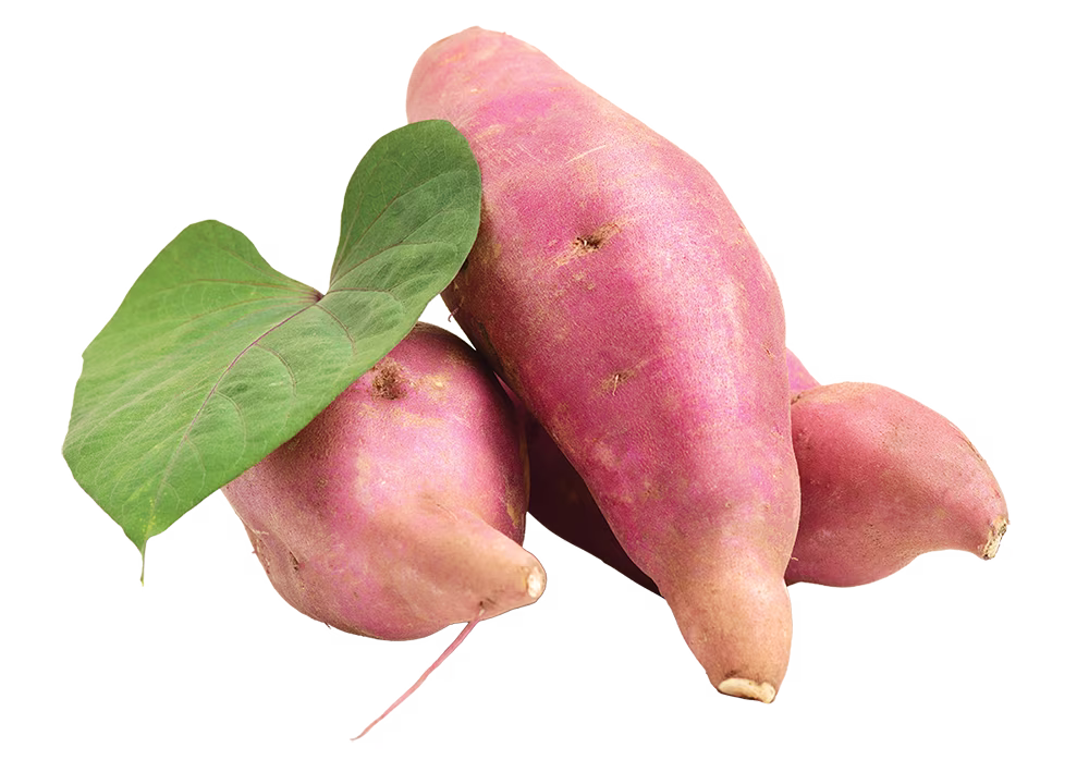 Kumara clearcut