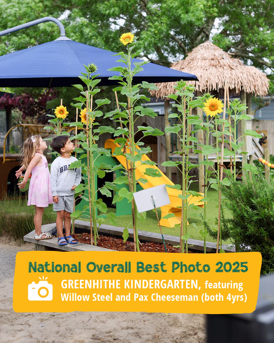 2025 Sunflower Project Best Photo