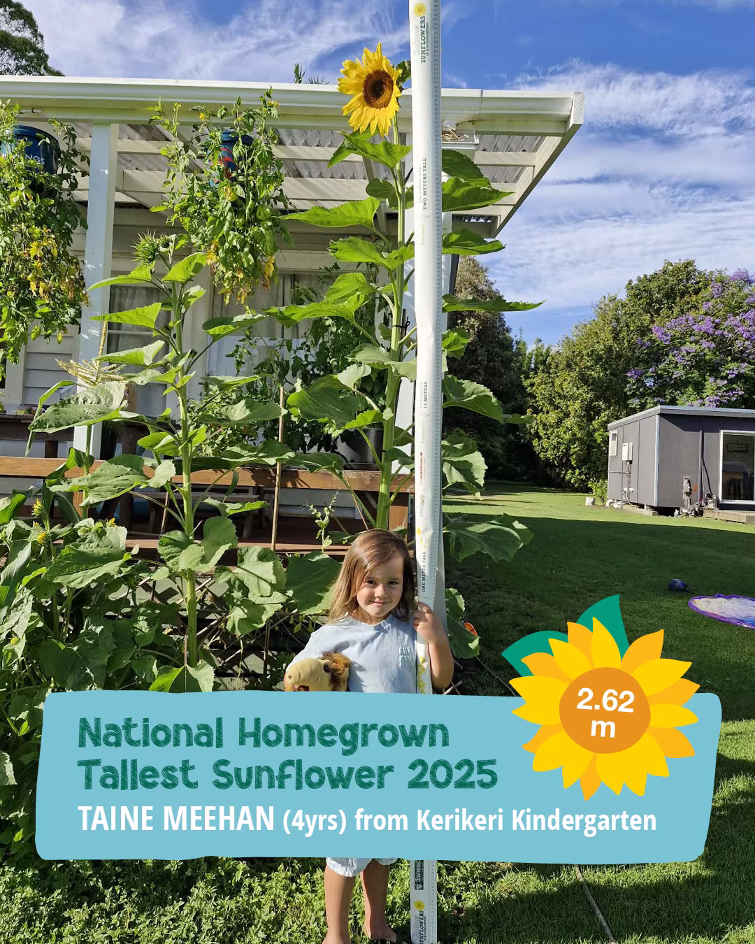 2025 Sunflower Project Homegrown winner