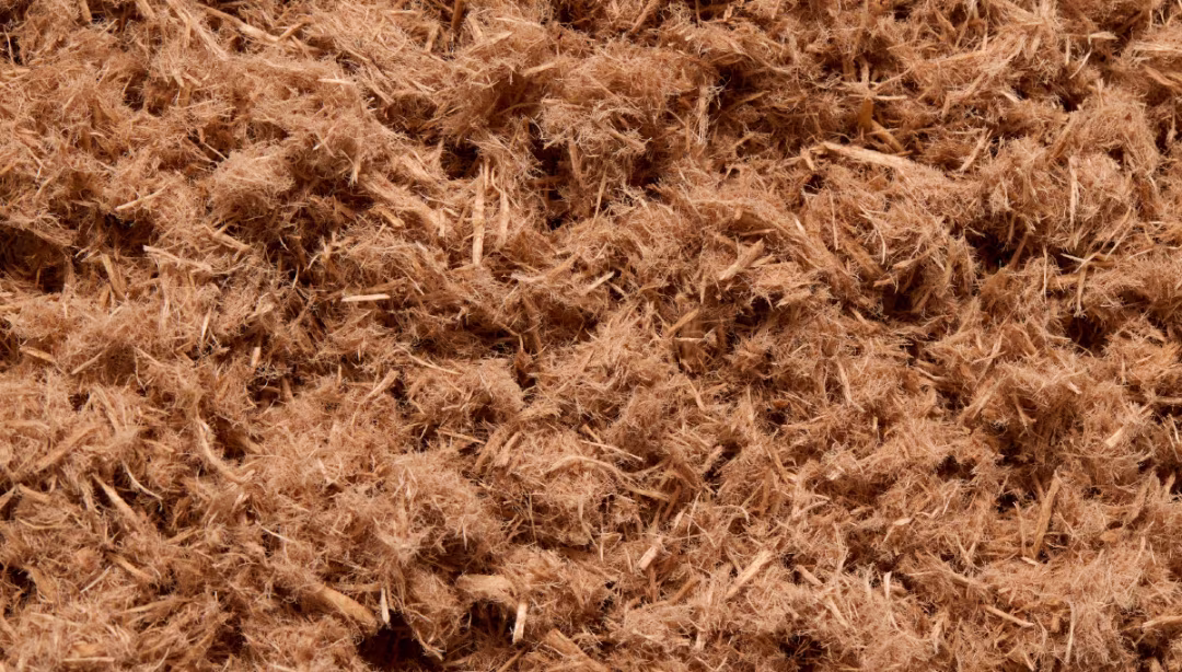 pinegro texture