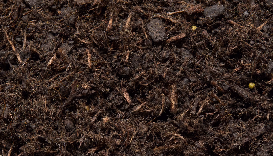 Potting Mix enriched with Pinegro