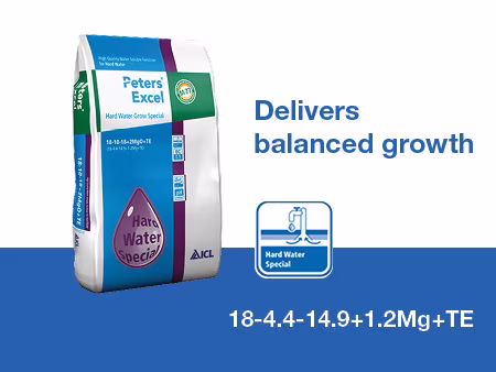 Peter Excel Link Blocks Hardwater Grow.jpg