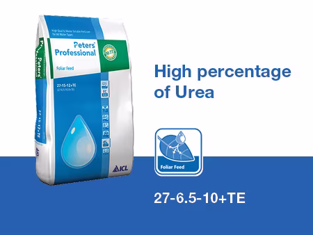 Peter Professional Link Blocks Foliar Feed.jpg