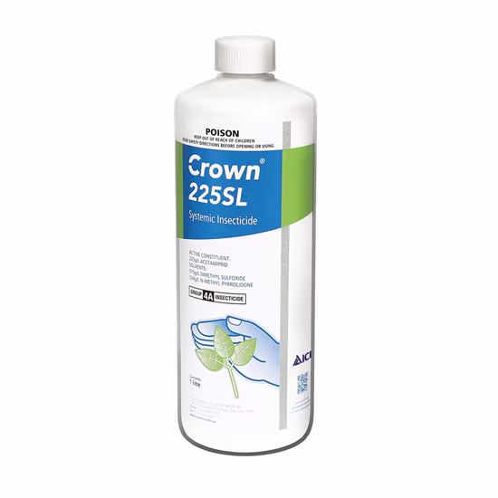 Crown.jpg