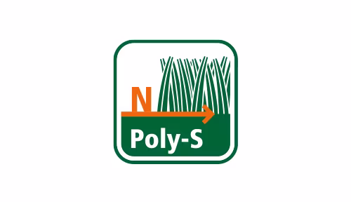 Poly S icon.jpg