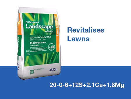 Prof Landscape Lawn 2-3.jpg