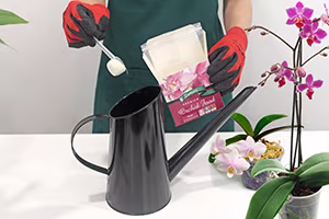 Orchid Food adding.jpg