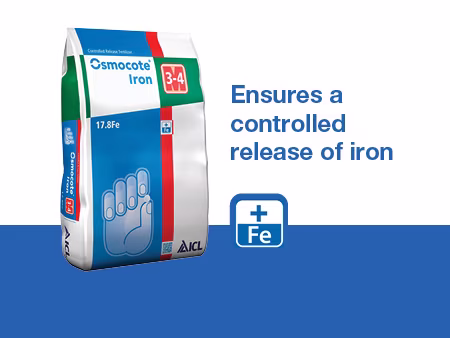 Iron Link Blocks.jpg
