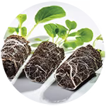 Grownet key benefits