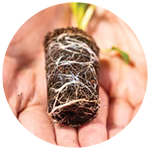 Grownet key benefits