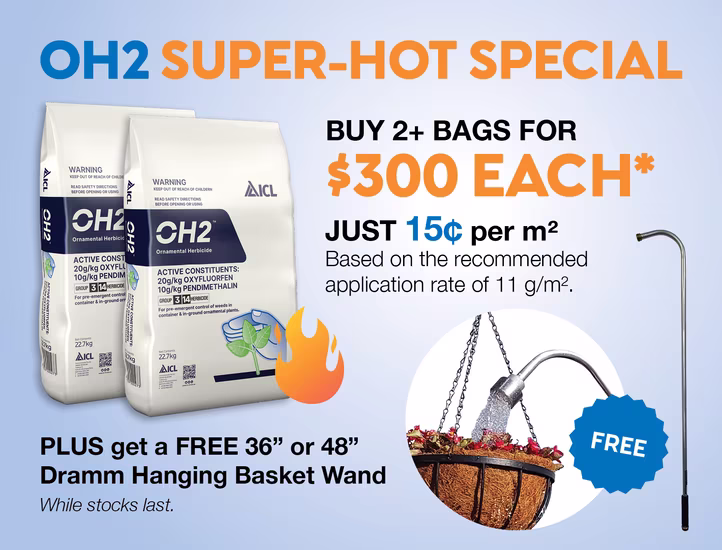 Aug26OH2 Special