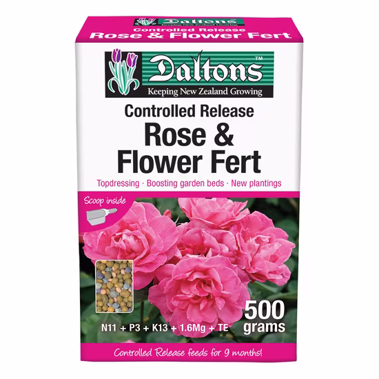 Prof Rose Flower Fert vis flat