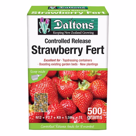 Prof Strawberry Fert vis flat