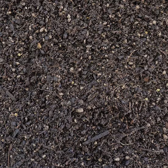 Seed & Cell Mix 1200x1200