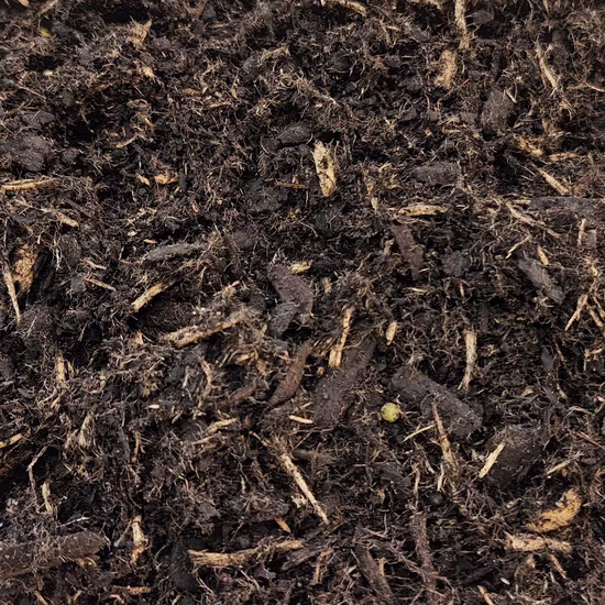 Tubing & Seedling 5-6 Mix 1200x1200