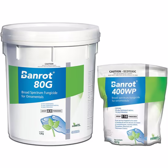 banrot-collection