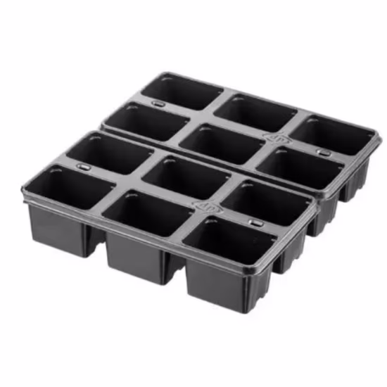 desch-2x6-tray