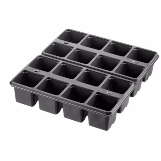 desch-2x8-tray