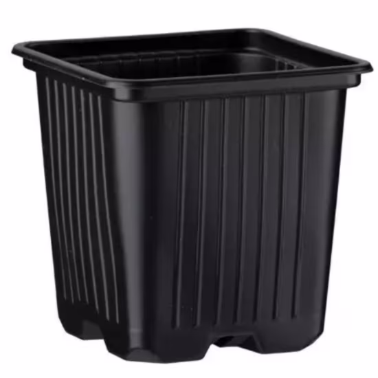 desch-square-pot-thermo-black
