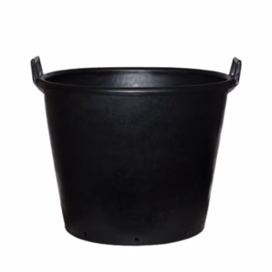 gc-mm5570-pot