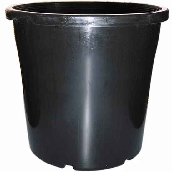 gc-p200e00-pot
