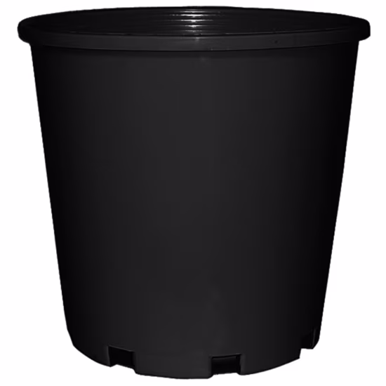 gc-p200sltlnz-pot