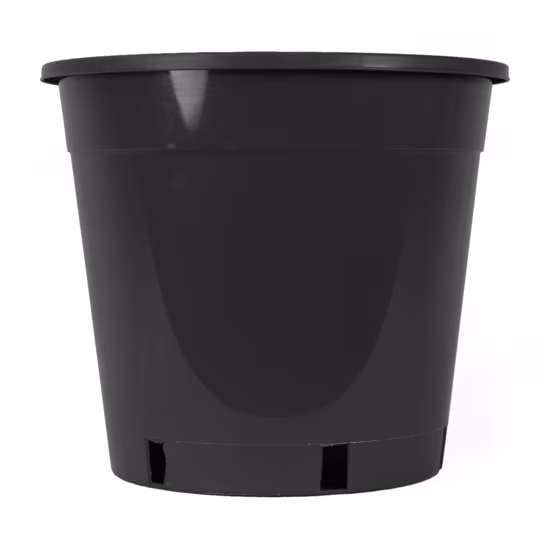 gc-p250sttl-pot