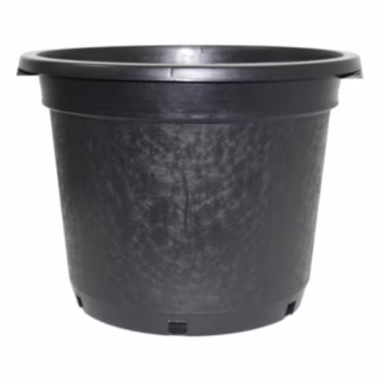 gc-p430h-pot
