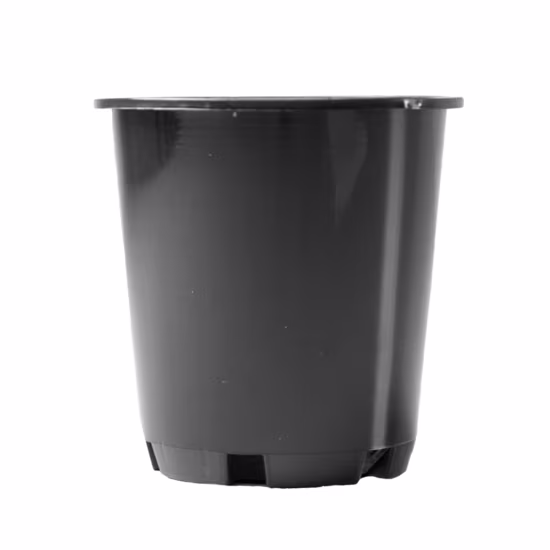 gc-p70sltl-pot-black