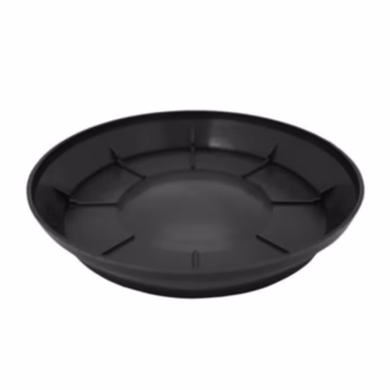gc-scr170hank-saucer
