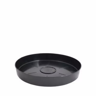 gc-scr175-saucer-black